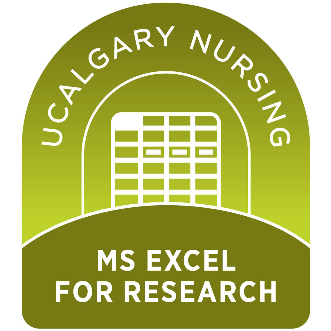 MS Excel for Research