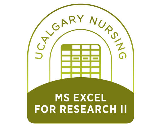 MS Excel for Research II