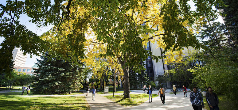 The University of Calgary is one of only two universities in Canada on the Corporate Knights 2016 Top 40 list, and is rated number eight overall in the Future 40 Responsible Leaders in Canada rankings, according to Corporate Knights, a national research and financial information products company.