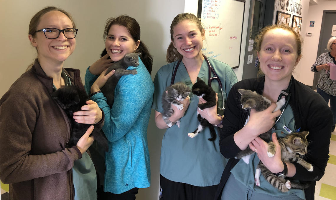 Vet Med students with kittens