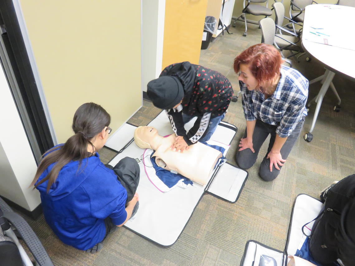 Morley students have the opportunity to try hands-on training with nursing CPR mannequins. 
