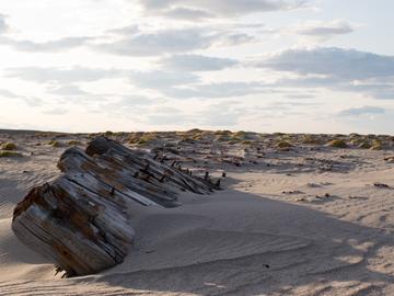 A 60-foot section of Nova Zembla’s hull partially buried on the beach immediately inshore from where the ship ran aground.