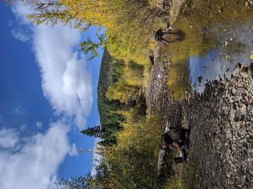 Dr. Steven Vamosi (left) and Dr. Christie Sampson (right) collect water samples and data about the river at a site along the Tay.