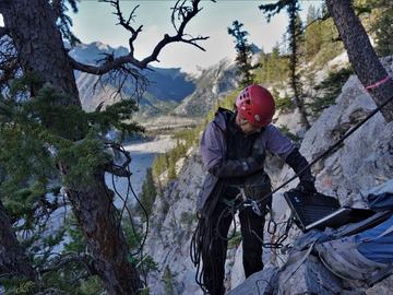 Estefania Nicolau Roldan collects data from data loggers attached to trees growing on cliffs