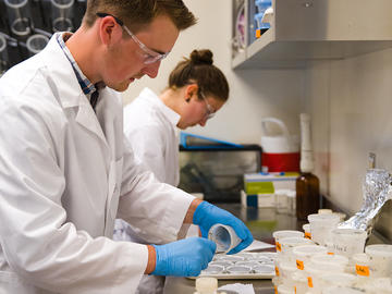Students work in the lab at ACWA.