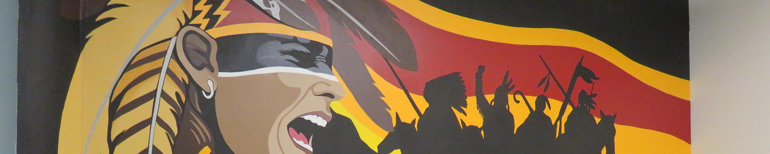 Indigenous Initiatives