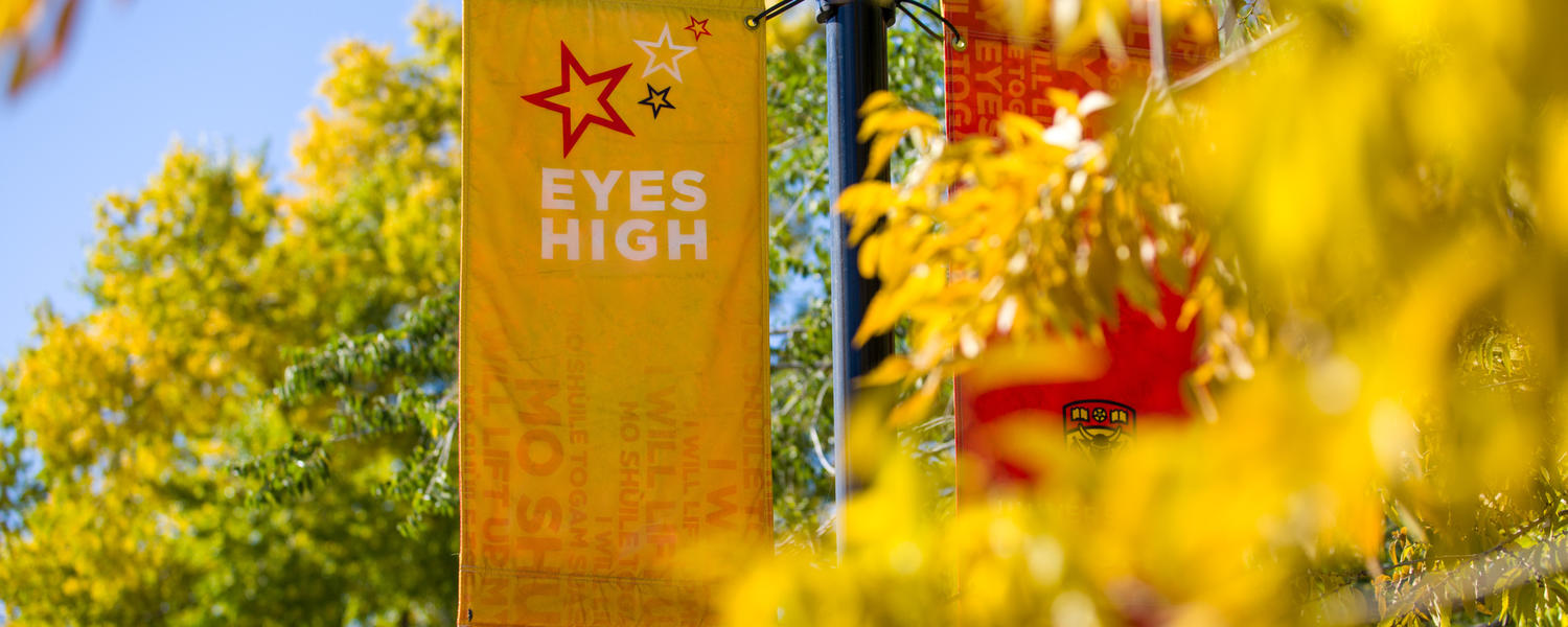 UCalgary Nursing Postdoctoral Scholars