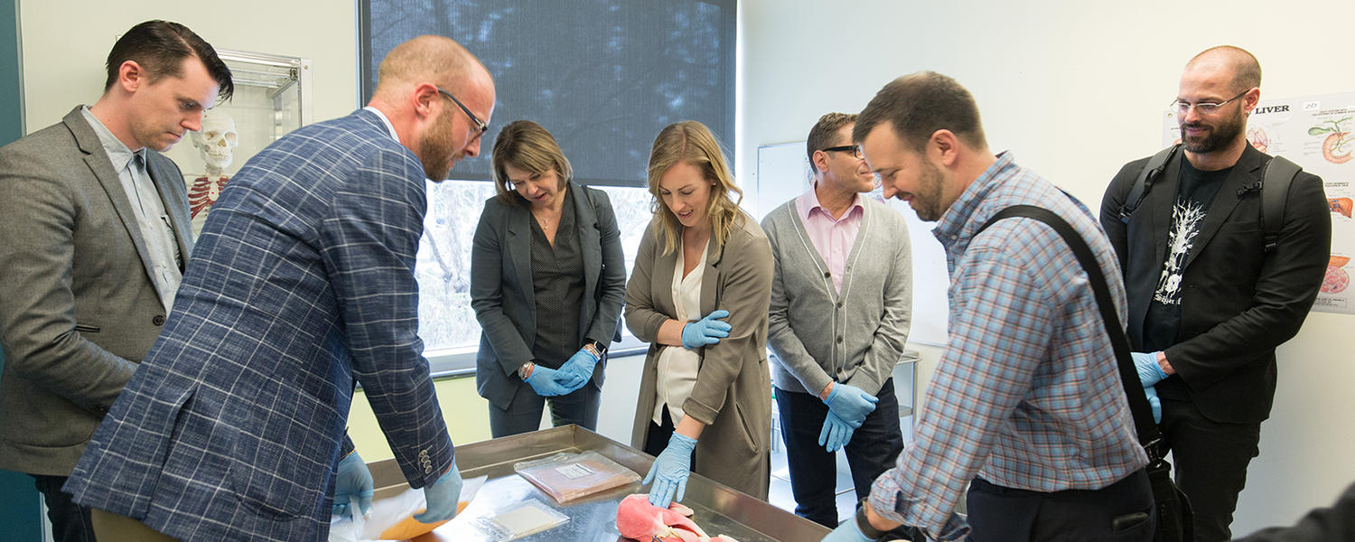 Simulation Learning - Collaborators and Partners