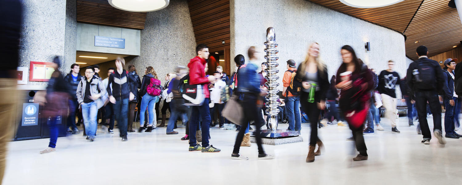 Undergraduate Programs FAQs