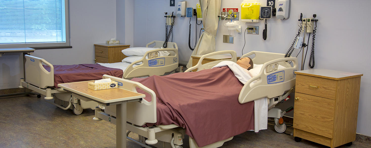 About the Faculty of Nursing 