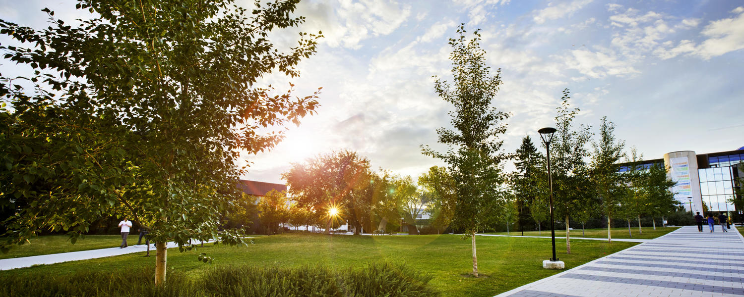 University of Calgary Campus