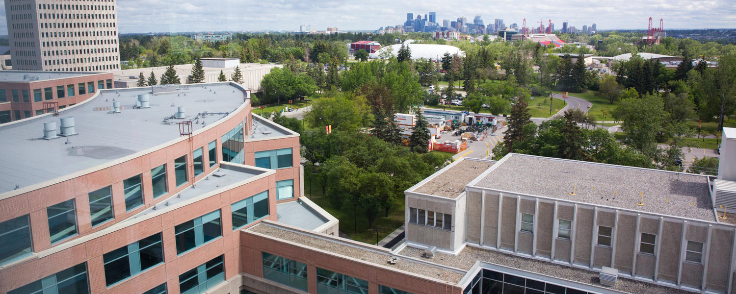 Faculty Learning Communities