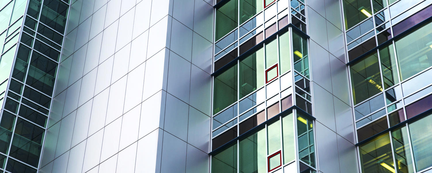 Professional Development Opportunities