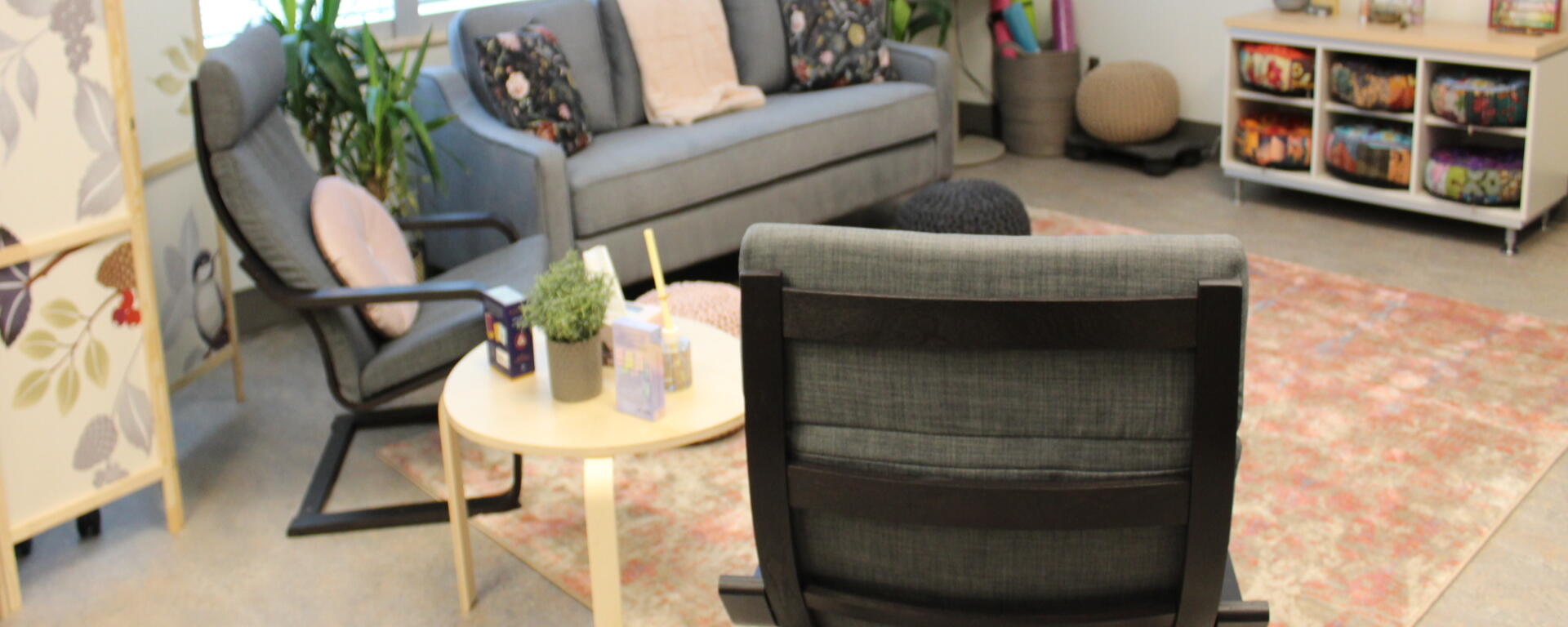 NP Mental Health & Wellness Clinic