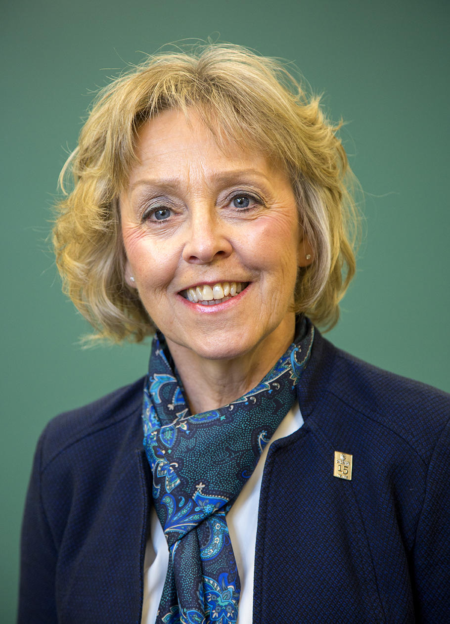 Karen Benzies Associate Dean, Research
