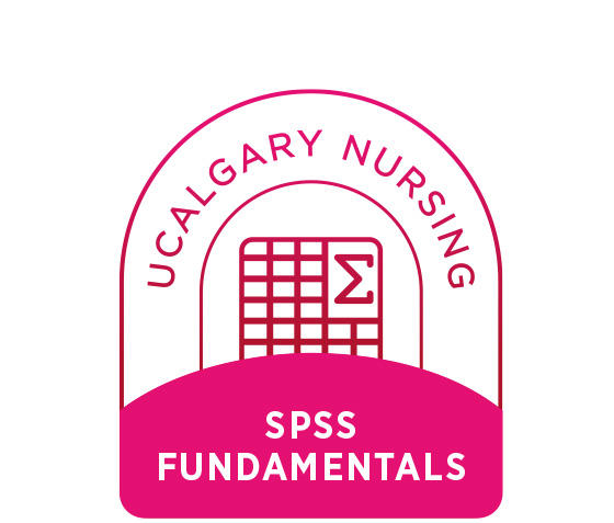 SPSS Fundamentals