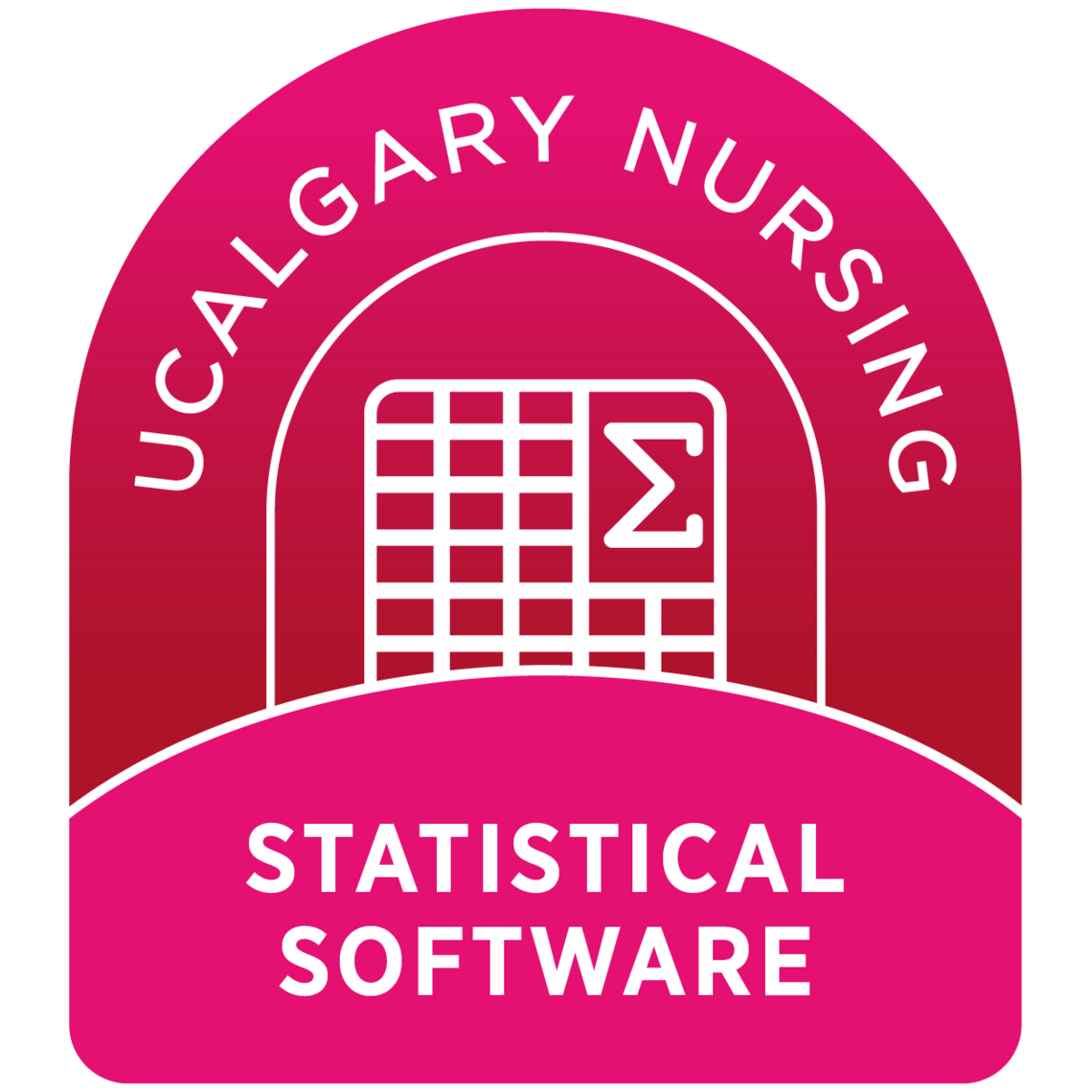 Statistical Software