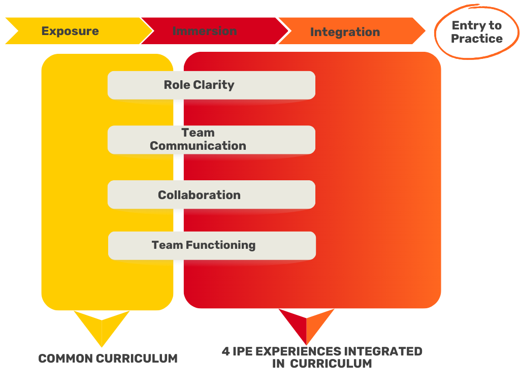 Common Curriculum IPE