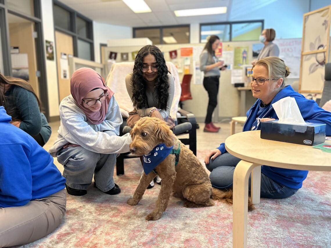 np health and wellness