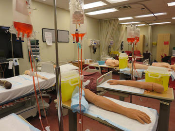 IV arms in lab