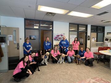 Group of volunteers in blue shirts and Nursing students in pink shirts in a row with five dogs in between them