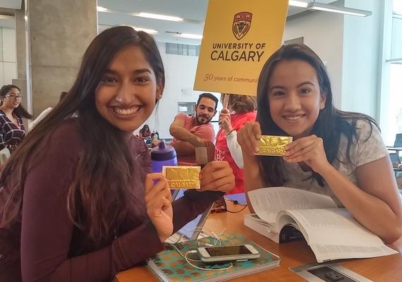 Volunteering and Co-curricular Record