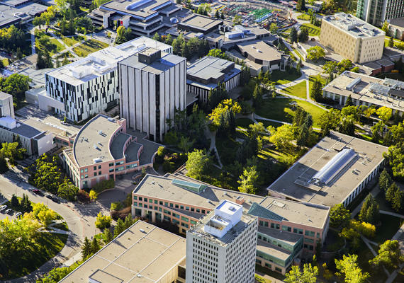UCalgary difference