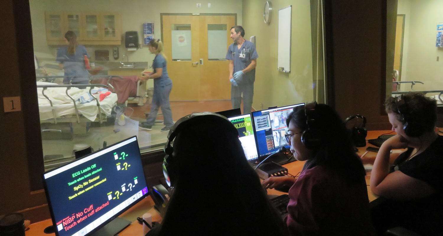 Simulation Learning