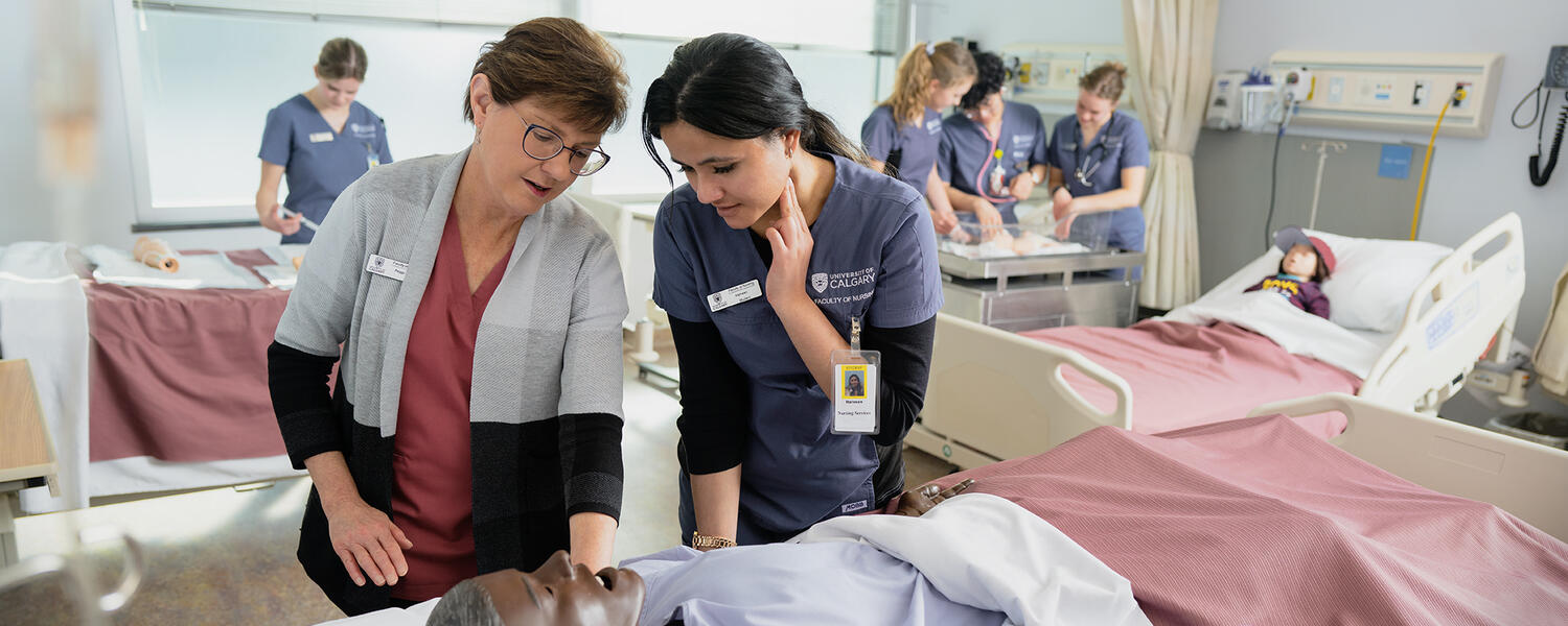 Bachelor of Science in Nursing (BScN)