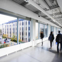 Course Progression & Schedules