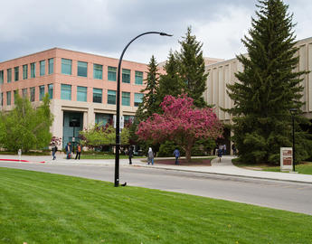 Our Associate Deans and Directors